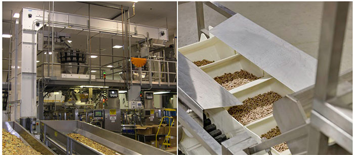 z型斗式提升機輸送堅果